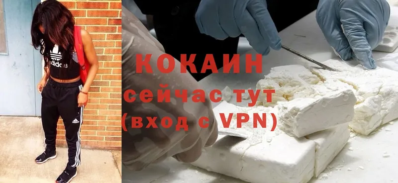 Cocaine FishScale  Правдинск 