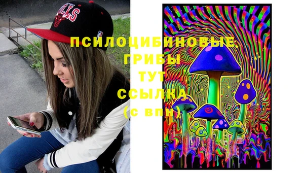 прущая мука Новозыбков