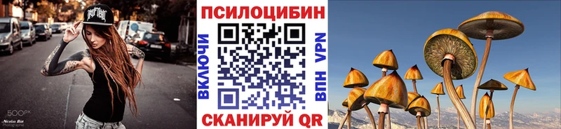 Галлюциногенные грибы Psilocybine cubensis  blacksprut онион  Правдинск 